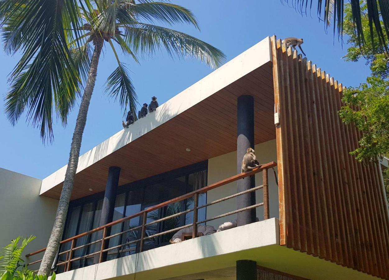 Lankavatara Ocean Retreat & Spa Tangalle Exteriér fotografie